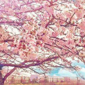 少萝㊙️免费裸体视频
